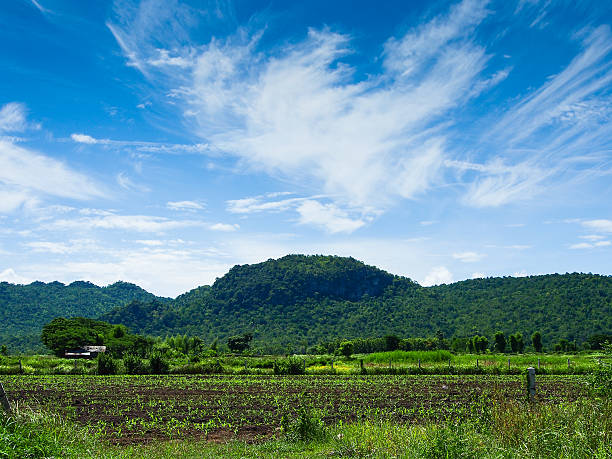 istock mountains green grass and blue sky landscape 475971845