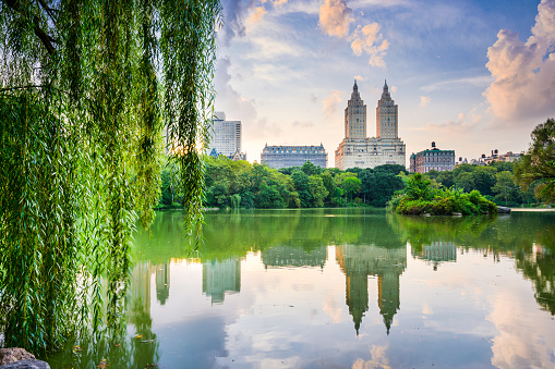 Central Park ciudad de Nueva York photo