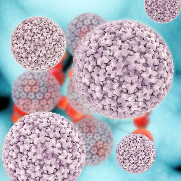 istock Papilloma virus - 3d rendered illustration 475979249
