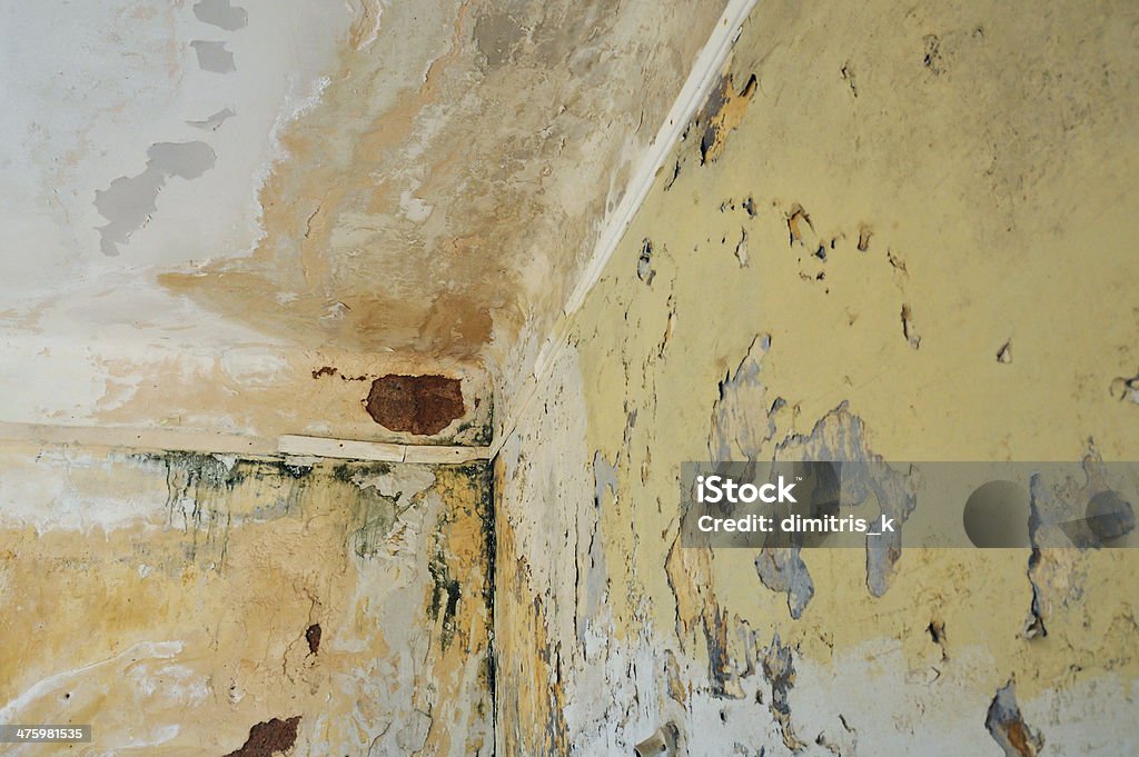 wall and ceiling of abandoned house Mold and chipped paint on the wall and ceiling of an abandoned house. Fungal Mold Stock Photo