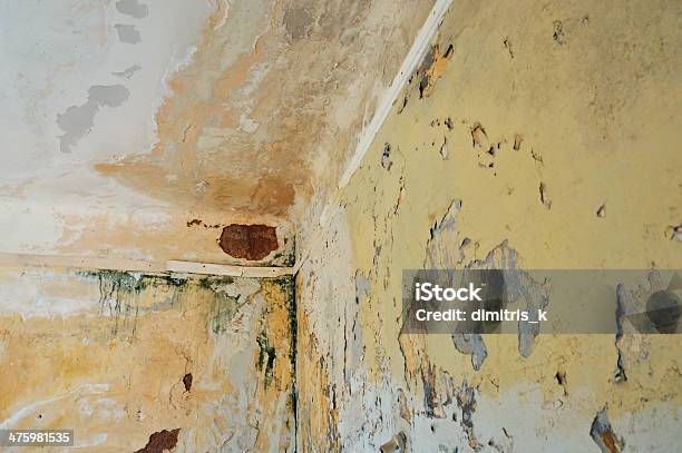 Wall And Ceiling Of Abandoned House Stock Photo - Download Image Now - Fungal Mold, House, Run-Down