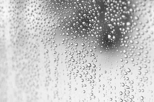 wet window stock photo