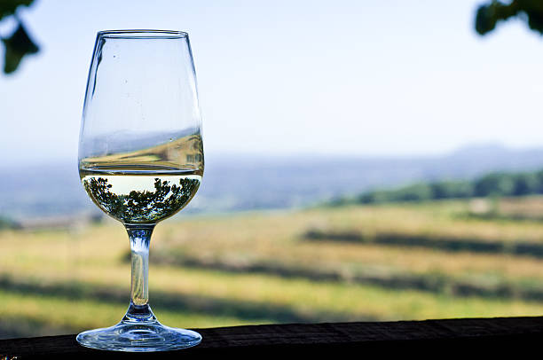 istock glass of white wine in a vineyard 475981907
