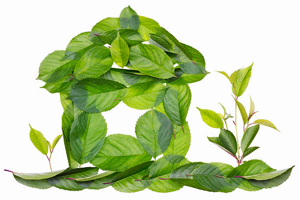 istock Lovely green home concept 475982455