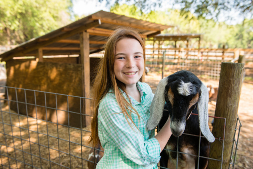 A young farm girl with a goat.