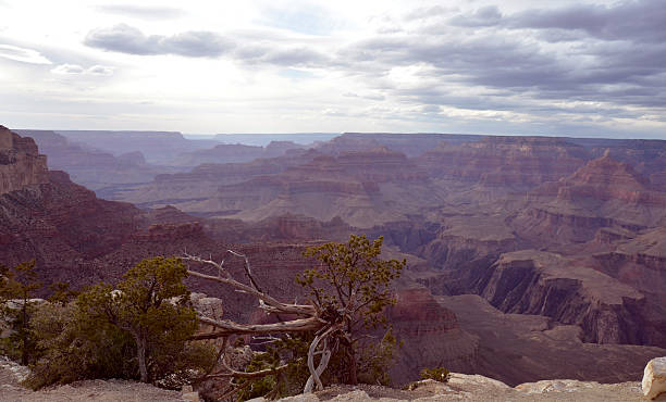 istock Grand Canyon National Park 475986064