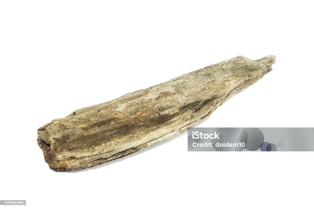 driftwood isolated on white background 2015 Stock Photo