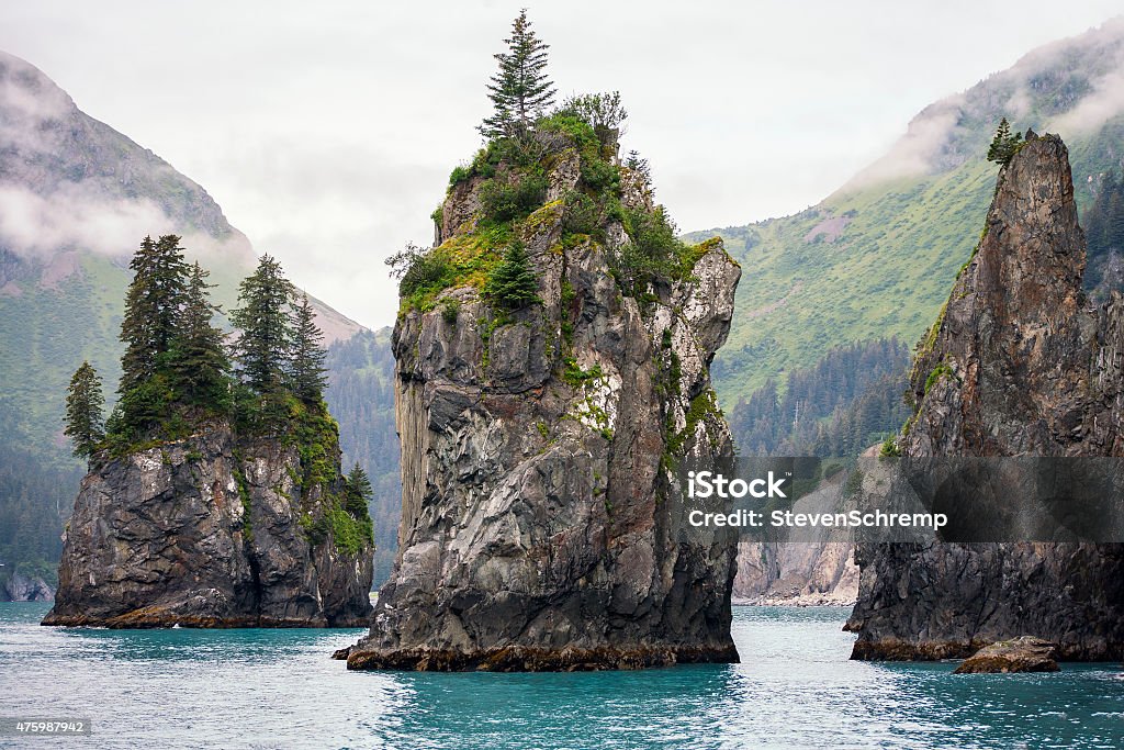 No mar, Parque Nacional de Kenai Fjords - Foto de stock de Alasca - Estado dos EUA royalty-free