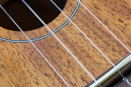 Close-up Part of ukulele guitar