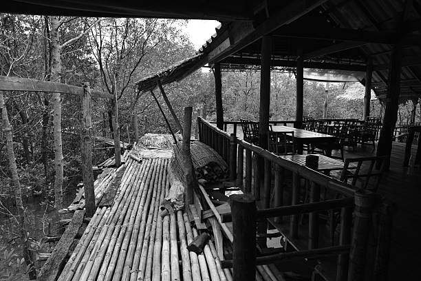 B&W wide angle image of a stilted building in a mangrove swamp and passage to the sea on koh Yao Noi island.