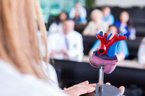 Female doctor or professor is using anatomical human heart model to teach class in medical school. Nursing or medical students in college lecture hall classroom are sitting in background, facing professor as she explains anatomy of heart.