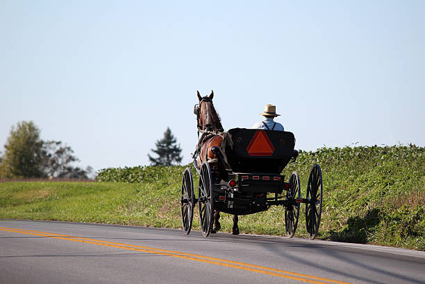 Amish Horse and Cart in Lancaster, Pennsylvania Amish horse pulling cart near Lancaster, Pennsylvania in Pennsylvania Dutch country. amish photos stock pictures, royalty-free photos & images