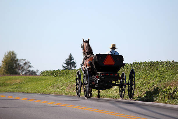 Amish Horse and Cart in Lancaster, Pennsylvania Amish horse pulling cart near Lancaster, Pennsylvania in Pennsylvania Dutch country. Amish stock pictures, royalty-free photos & images