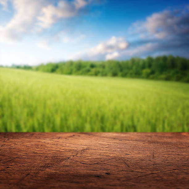 istock Summer background. Wooden floor texture and defocused summer landscape. 475991386