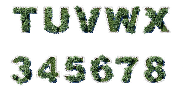 緑豊かな庭園、灰色 cubing ボーダー - alphabet description number isolated ストックフォトと画像
