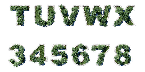 Green Garden set with grey cubing border