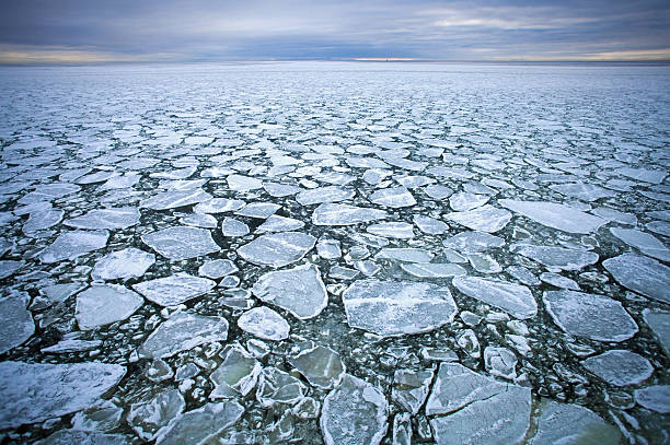 deriva de gelo - ice shelf imagens e fotografias de stock