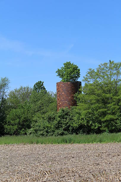 istock Old silo with a tree growing out of the top 475992980