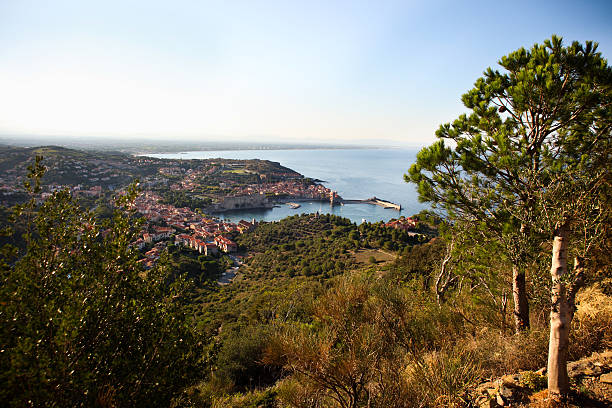 istock Collioure, United Kingdom 475993068