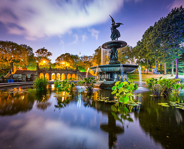 160+ Bethesda Fountain Stock Photos, Pictures & Royalty-Free