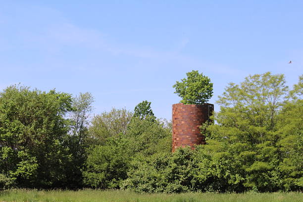 istock old silo with a tree growing out of the top 475996096