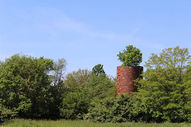 istock Old silo with a tree growing out of the top 475996116
