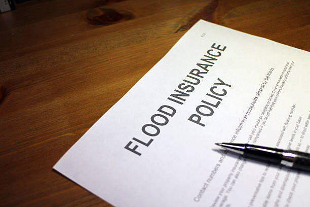 istock flood insurance - Flood and Water Damage 475996130
