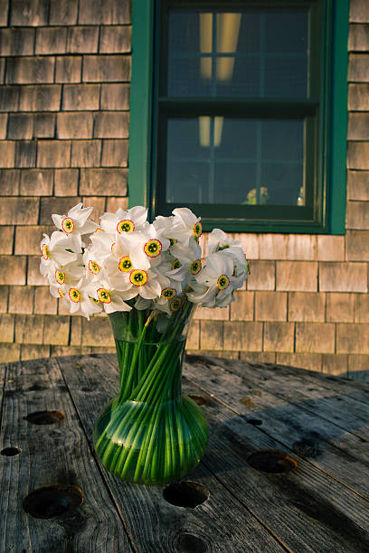 flores em uma jarra em menemsha massachusetts em vinhedo martha - daffodil spring flower new england imagens e fotografias de stock