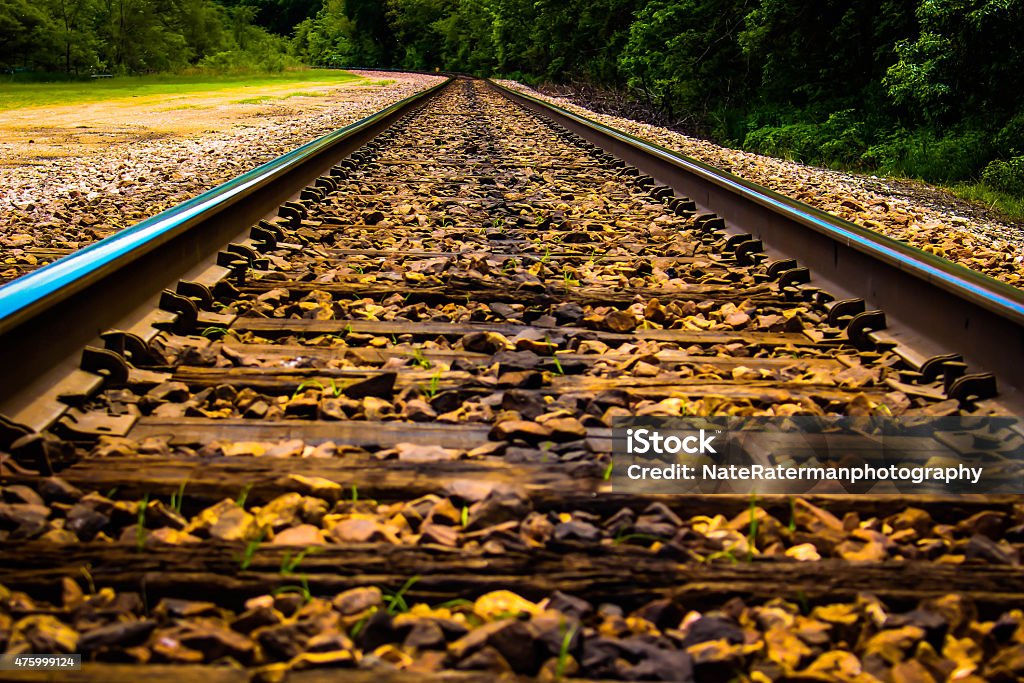 Railroad Tracks that never stop The endless railroad tracks never stop. Life on the tracks is always on the go. Such beauty is seen on these tracks. 2015 Stock Photo