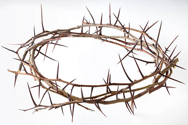 istock Crown of thorns 475999341