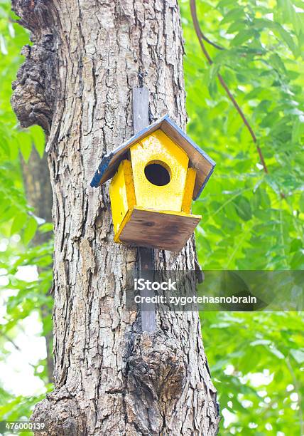 Bunte Vogelhäuschen Aus Holz In Einem Baum Stockfoto und mehr Bilder von Ast - Pflanzenbestandteil - Ast - Pflanzenbestandteil, Baum, Blatt - Pflanzenbestandteile