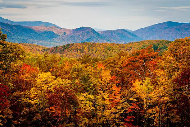 Smoky Mountains in Autumn Colors