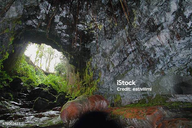 Eingang Zu Einem Von Zwei Kaumana Höhlen Auf Big Island Stockfoto und mehr Bilder von Höhle
