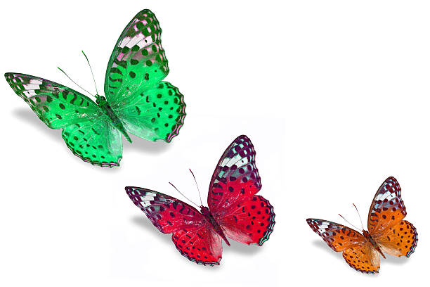 istock Colorful butterflies 476003497