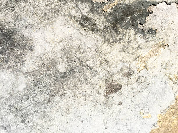 istock Grunge old dirty wood with black stain texture background 476004502