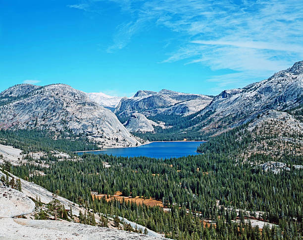 istock Yosemite National Park 476005042