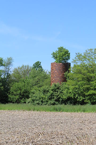 istock Old silo with a tree growing out of the top 476005156