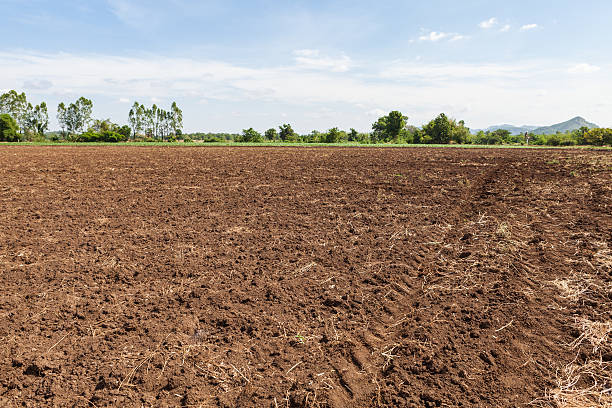 istock an abandoned farm in the fields of Thailand 476008030