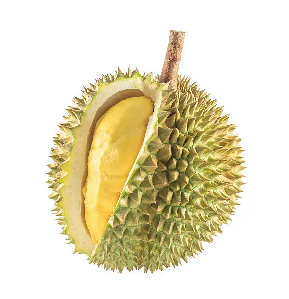 Photo of Durian fruit isolated