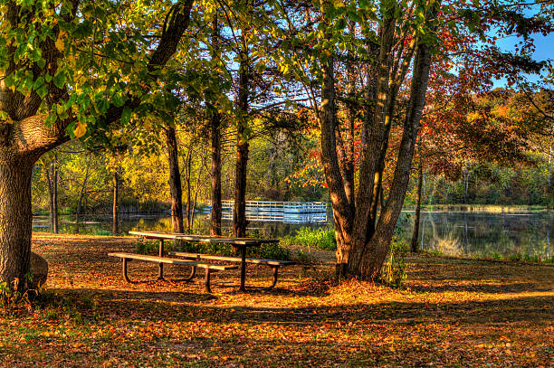 istock HDR landscape of a forest and pond. 476010239