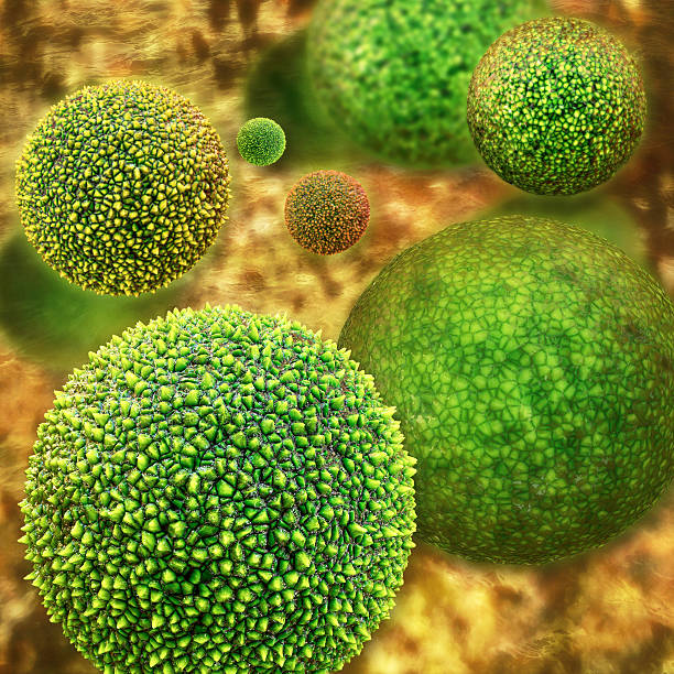 pollen - 3d-illustration aus - pollen grain stock-fotos und bilder