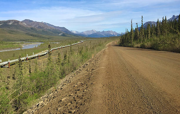 istock Trans Alaska Pipeline and the Dalton Highway in Summer 476010666