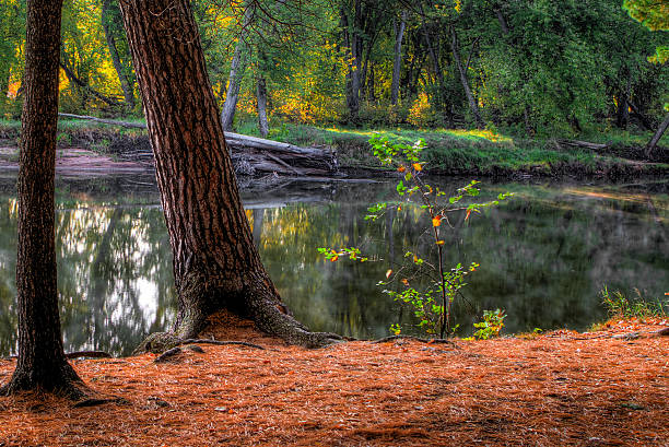 istock An HDR landscape of a forest and pond. 476011395