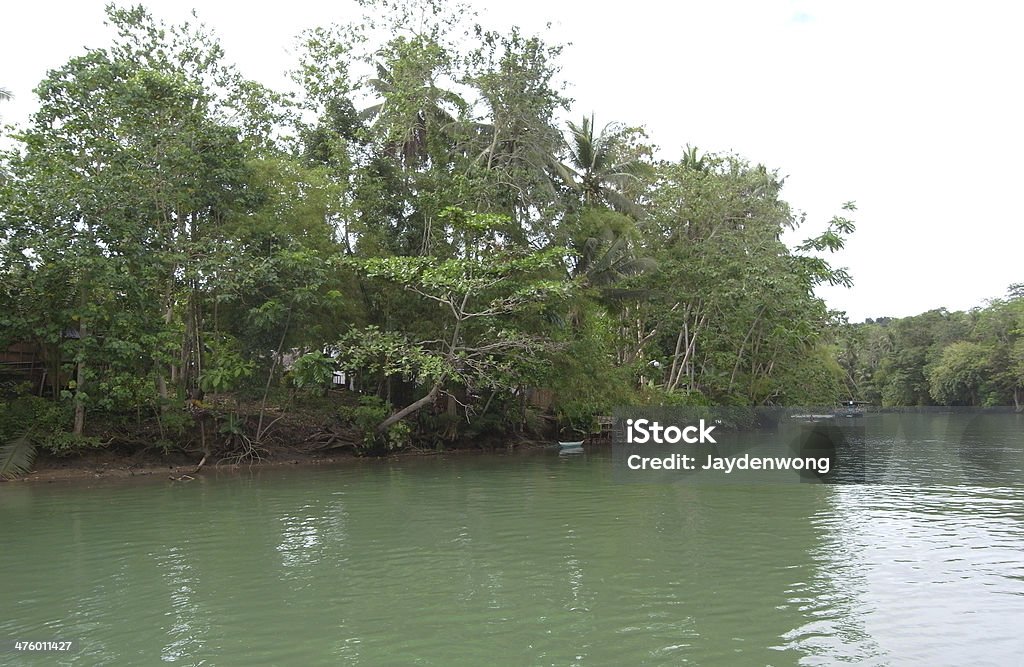 Midstream Loboc River Shore - Lizenzfrei Baum Stock-Foto