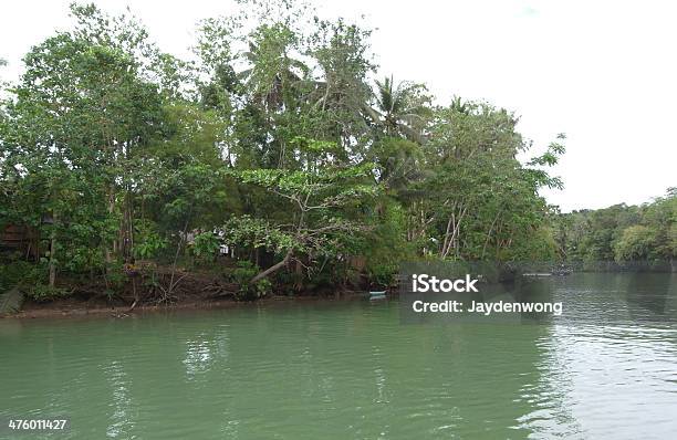 Foto de Midstream Loboc Rio Terra e mais fotos de stock de Bosque - Floresta - Bosque - Floresta, Branco, Canal