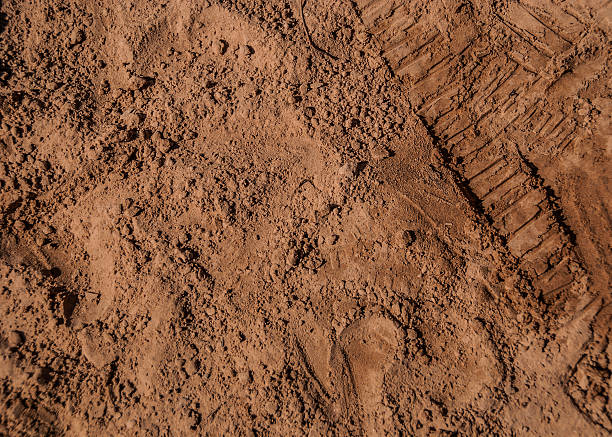 footprints in the sand stock photo