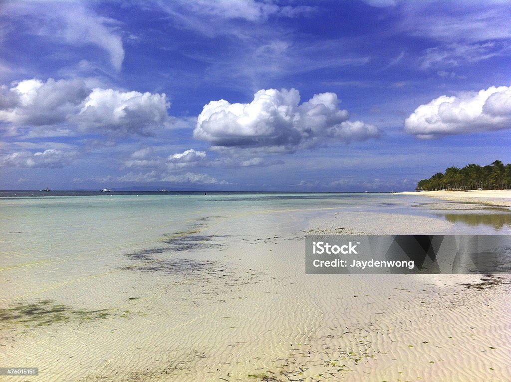 Paysage de plage à marée basse Bohol - Photo de Arbre libre de droits