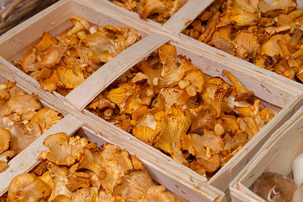 アンズダケ - chanterelle crate golden chanterelle vegetable ストックフォトと画像