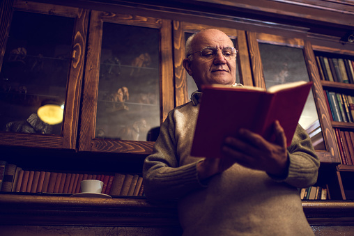 Portrait of a caucasian senior man reading a book and standing next to a window