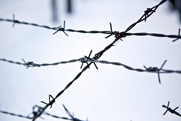 Barbed wire, remains of iron curtain Barbed wire, remains of iron curtain on Czech-German border in winter with snow holocaust stock pictures, royalty-free photos & images